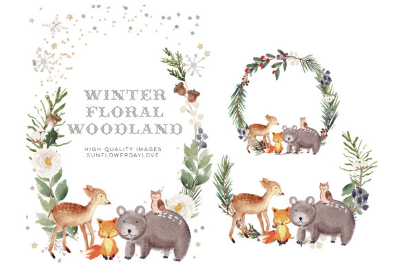 Frame Watercolor Winter Woodland, Animal: A Designer's Guide to This Charming Typeface