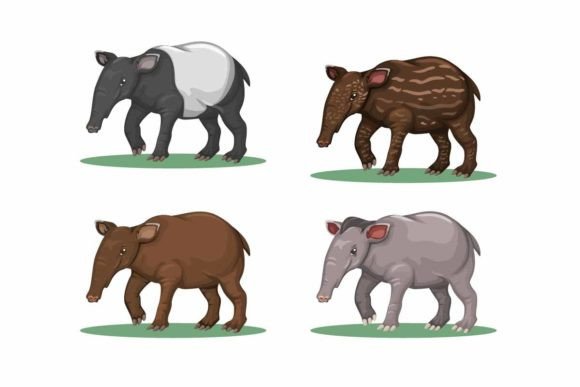 Tapir Animal Species Character Set: A Bold & Playful Font