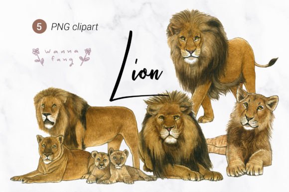 Wildly Creative: Unlocking the Potential of Lion Watercolor Animal Clipart, PNG